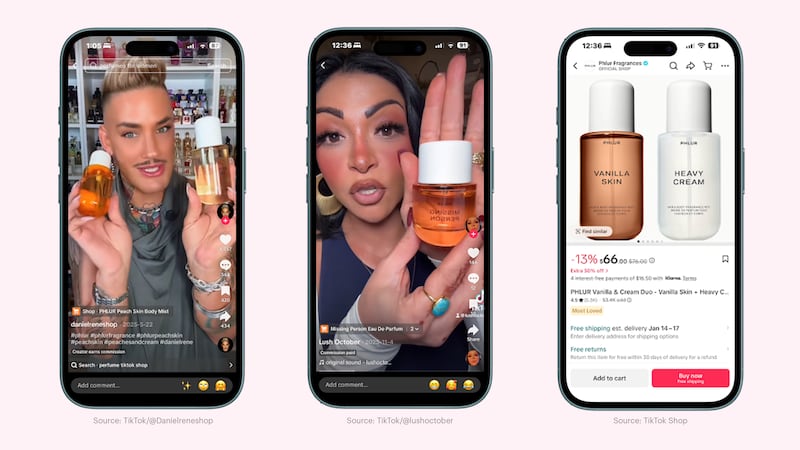 Source: TikTok/@Danielreneshop and @lushoctober