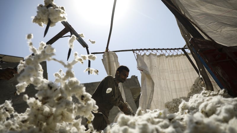 A worker unloads cotton from a truck at a market in Pakistan in 2023.