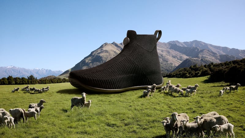An image of Allbirds' Mo.onshot shoe.