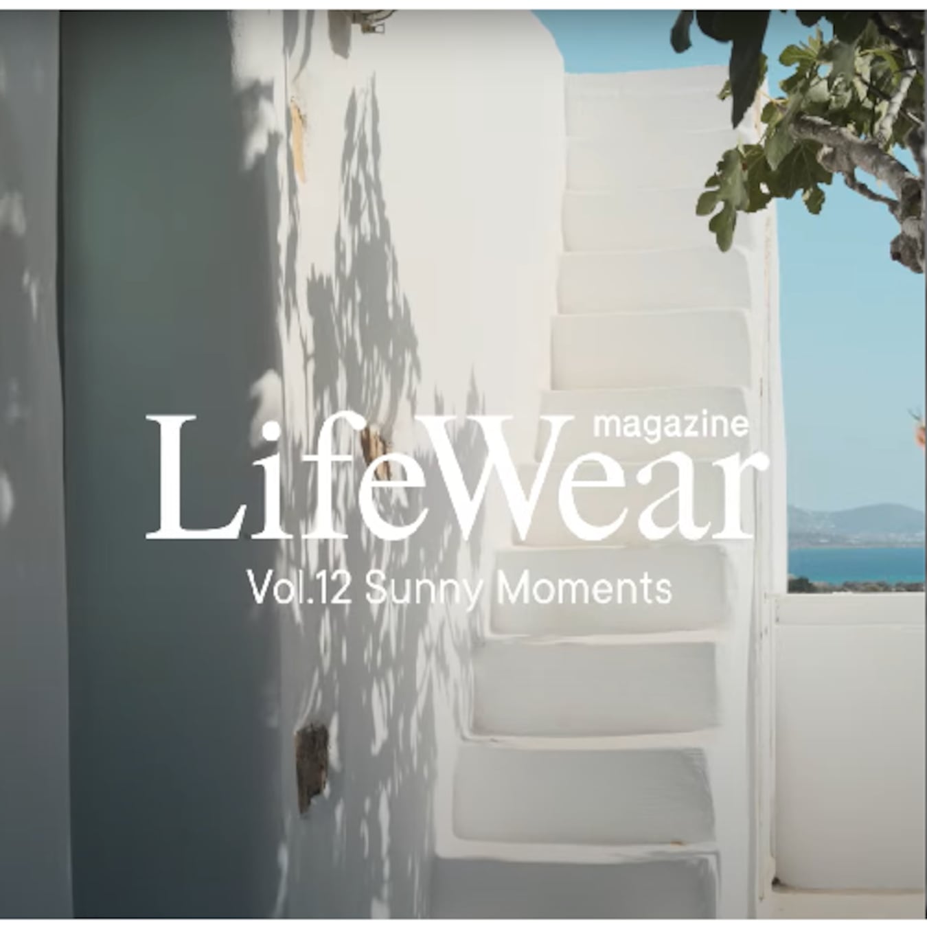 Project-LifeWear magazine 2025 Spring & Summer Digest Movie