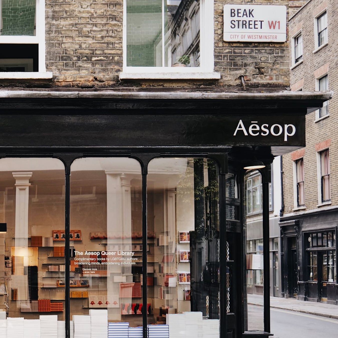 Project-Aesop Queer Library Returns